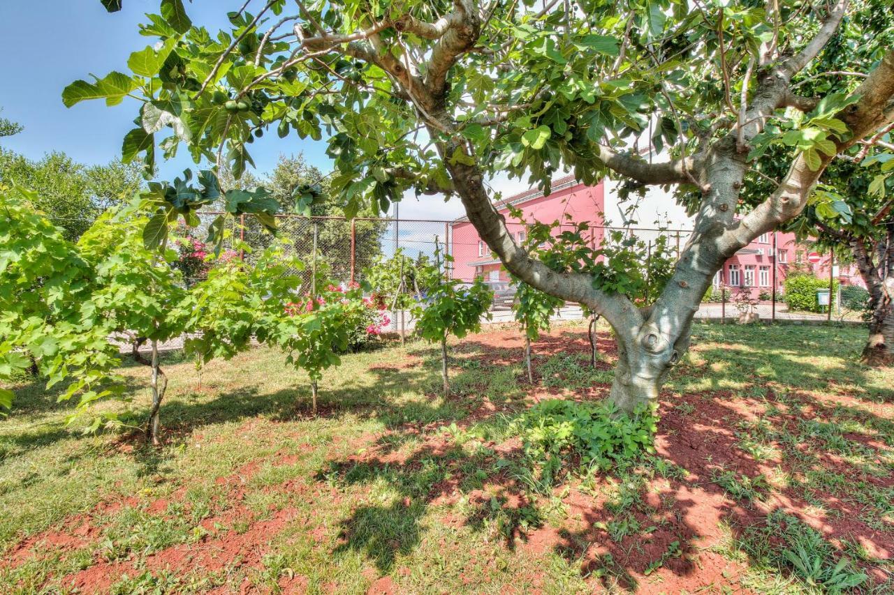 Apartments El Faro Savudrija Ngoại thất bức ảnh